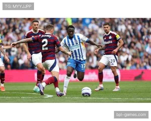 英超海鸥阵容调整显成效,稳健表现趋势引关注 英超海鸥阵容调整显成效,稳健表现趋势引关注